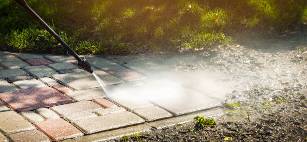 Best Animal Enclosure Cleaning  in Fort Pierce South, FL